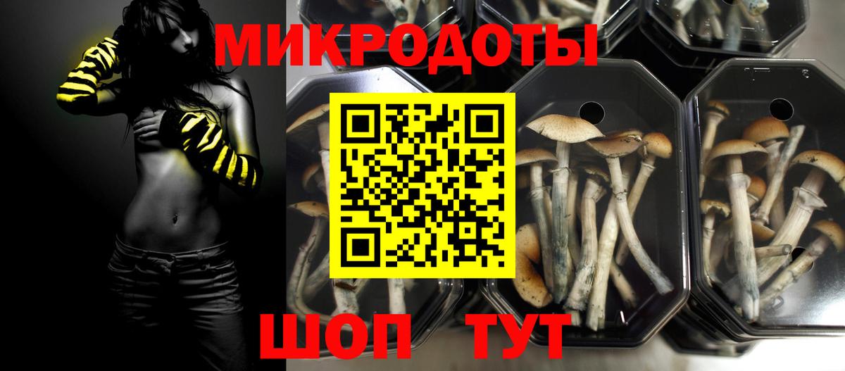 Будённовск  Галлюциногенные грибы Cubensis  Вход с VPN 